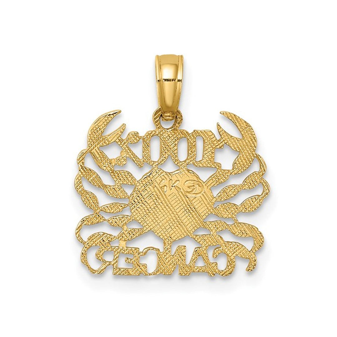 10K Yellow Gold 100% CANCER Charm Astrology Pendant Necklace with Chain Image 3