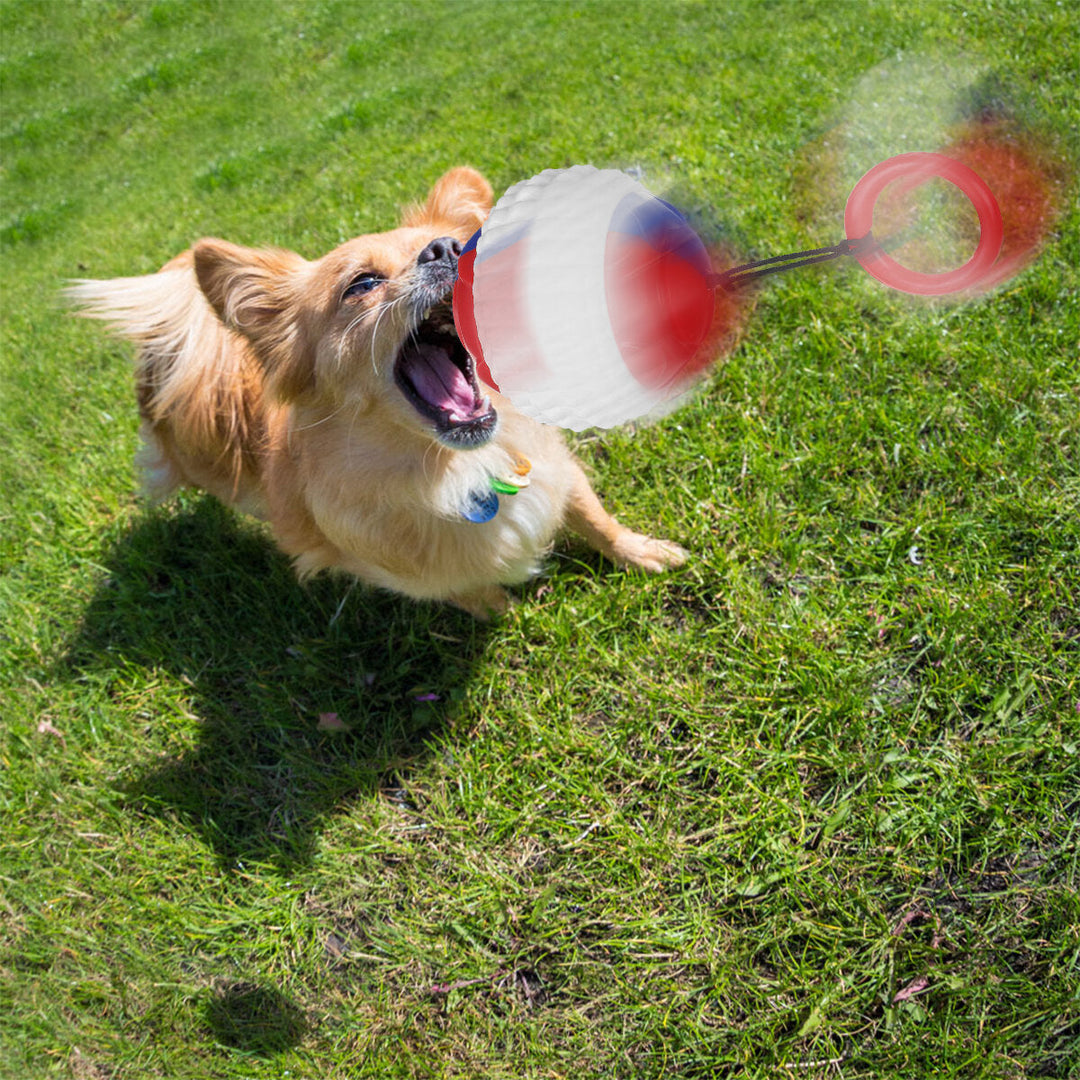 1 SET Dog Ball Launcher Stick Interactive Dog Ball Throwing Stick Toy for Dog Outdoor Walking Image 12