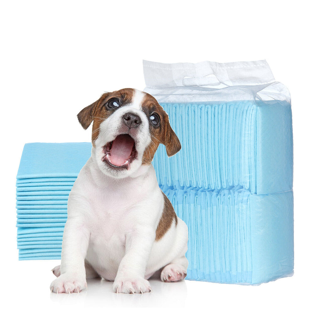 100/50/40/20 Pet Diapers Deodorant Thickening Absorbent Diapers Disposable Training Urine Pad Dog Diapers Image 2