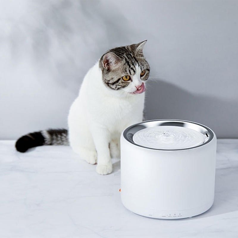 1.35L Electric Pet Cat Dog Drinking Water Dispenser Water Fountain Autoxic Feeder Pet Smart Feeder Image 2