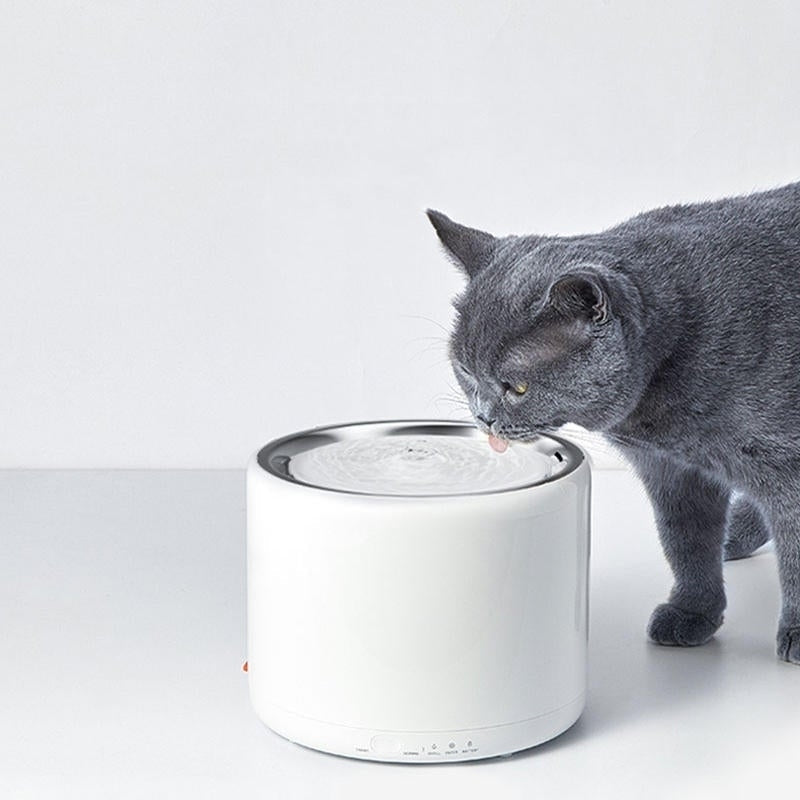 1.35L Electric Pet Cat Dog Drinking Water Dispenser Water Fountain Autoxic Feeder Pet Smart Feeder Image 3