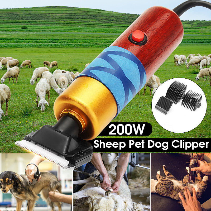 200W Sheep Clipper Professional Dog Grooming Kit For Rabbit Pet Dog Grooming Tools Image 6
