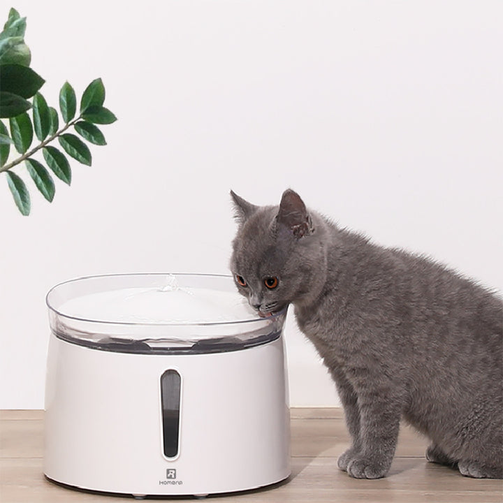 2L Pet Smart Fountain Pet Water Dispenser Water Purifier Autoxic Waterer Cat Electric Drinking Bowl Image 3
