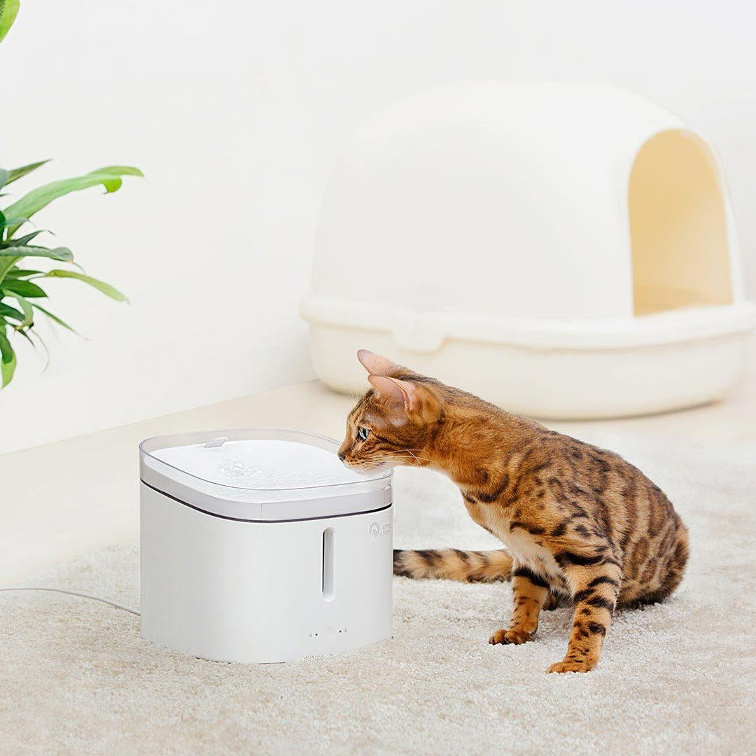 2L Smart Electric Autoxic Filtering Pet Water Dispenser Water Bucket From Electric Pet Drinking Bowl Fountain Autoxic Image 3