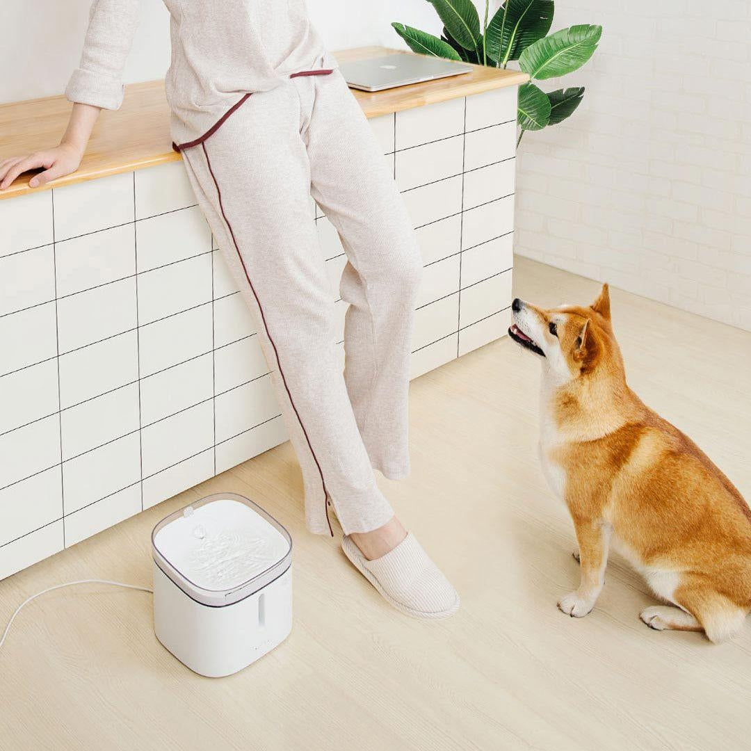 2L Smart Electric Autoxic Filtering Pet Water Dispenser Water Bucket From Electric Pet Drinking Bowl Fountain Autoxic Image 4