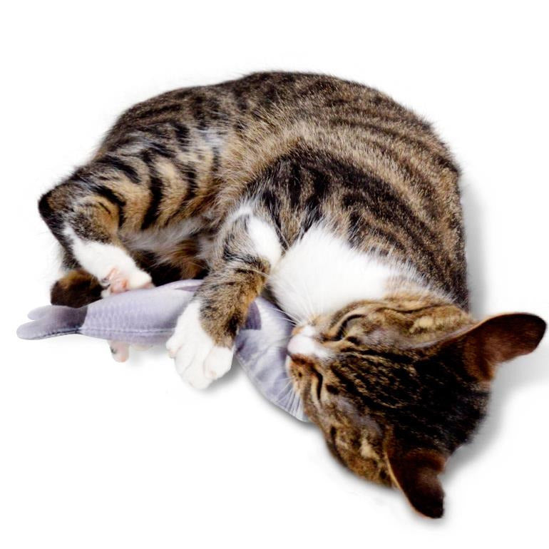 30cm Large Size Interactive Pets Pillow Catnip Toys Simulation Plush Fish Shape Doll Chew Bite Cat Toys Image 3