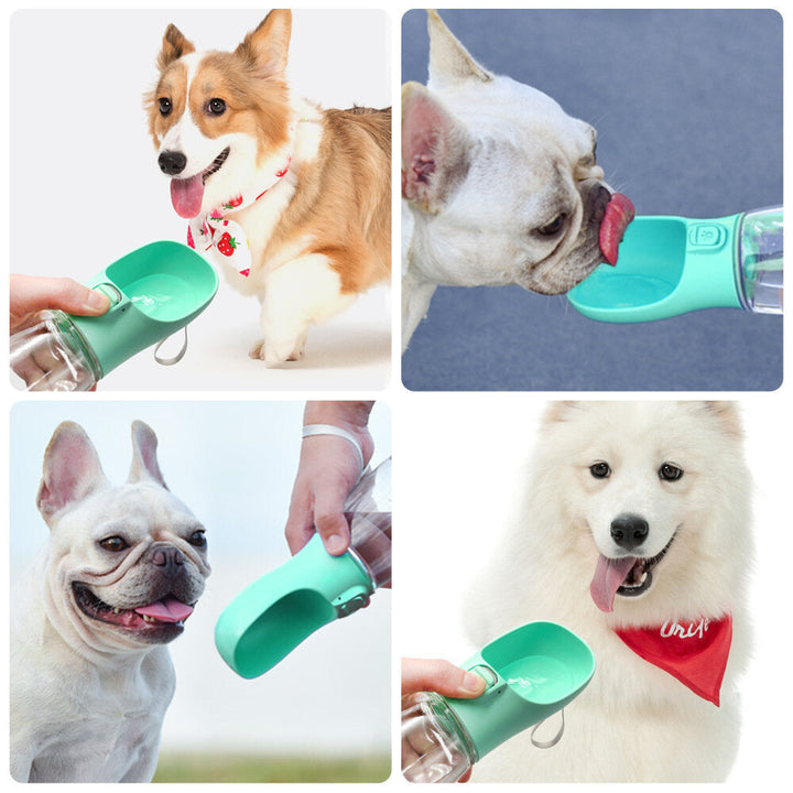 300ml Portable Water Cup Bottle Accompanying Kettle Cat Water Dispenser Dog Drinking Cup Travel Pet Supplies Image 1