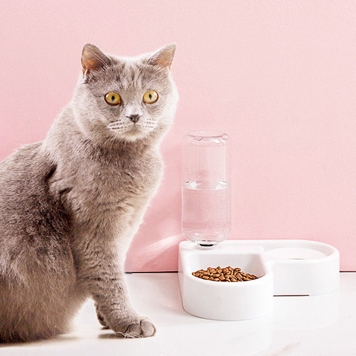 500ml Pet Water Drinker Dispenser Heart-shaped Automatic Dog Cat Feeder Waterer Bowl Bottle Image 3