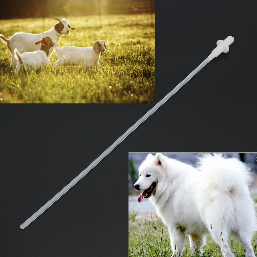 50 Canine Dog Sheep Goat Artificial Insemination Breed Whelp Soft Catheter Plastic Rod Image 1