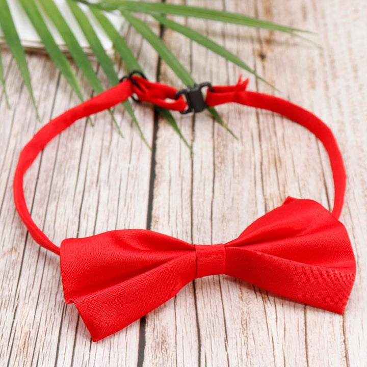 50 PCS Wholesale Pet Dog Puppy Cat Bowtie Necktie Bow Ties Pet Necklace Adjustable Strap for Cat Collar Dogs Accessories Image 6