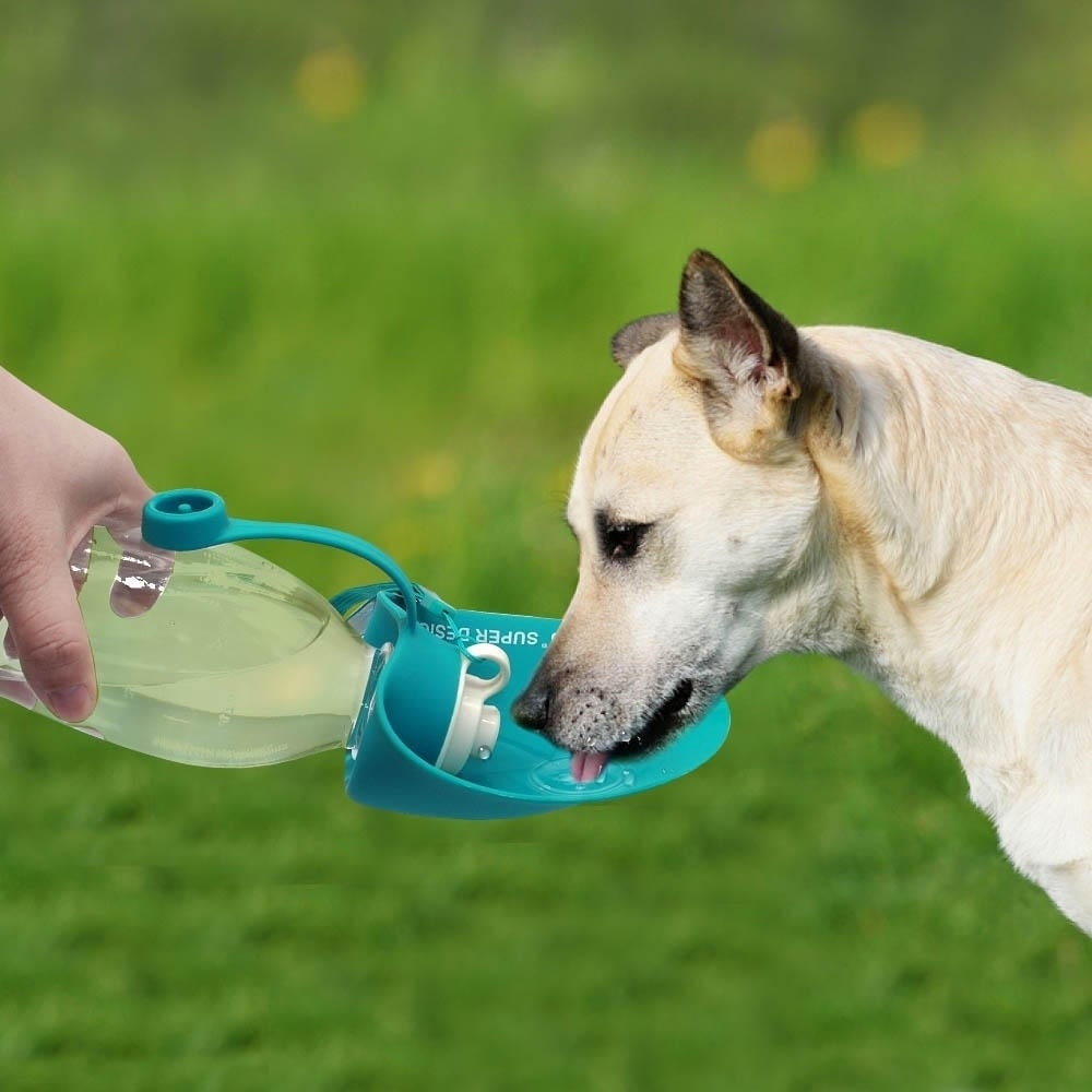 650ml Sport Portable Leaf Pet Dog Water Bottle Epandable Silicone Travel Dog Bottles Bowl For Puppy Cat DTTT Image 2