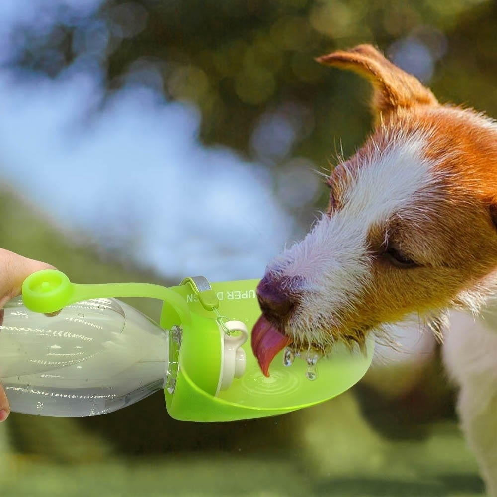 650ml Sport Portable Leaf Pet Dog Water Bottle Epandable Silicone Travel Dog Bottles Bowl For Puppy Cat DTTT Image 4