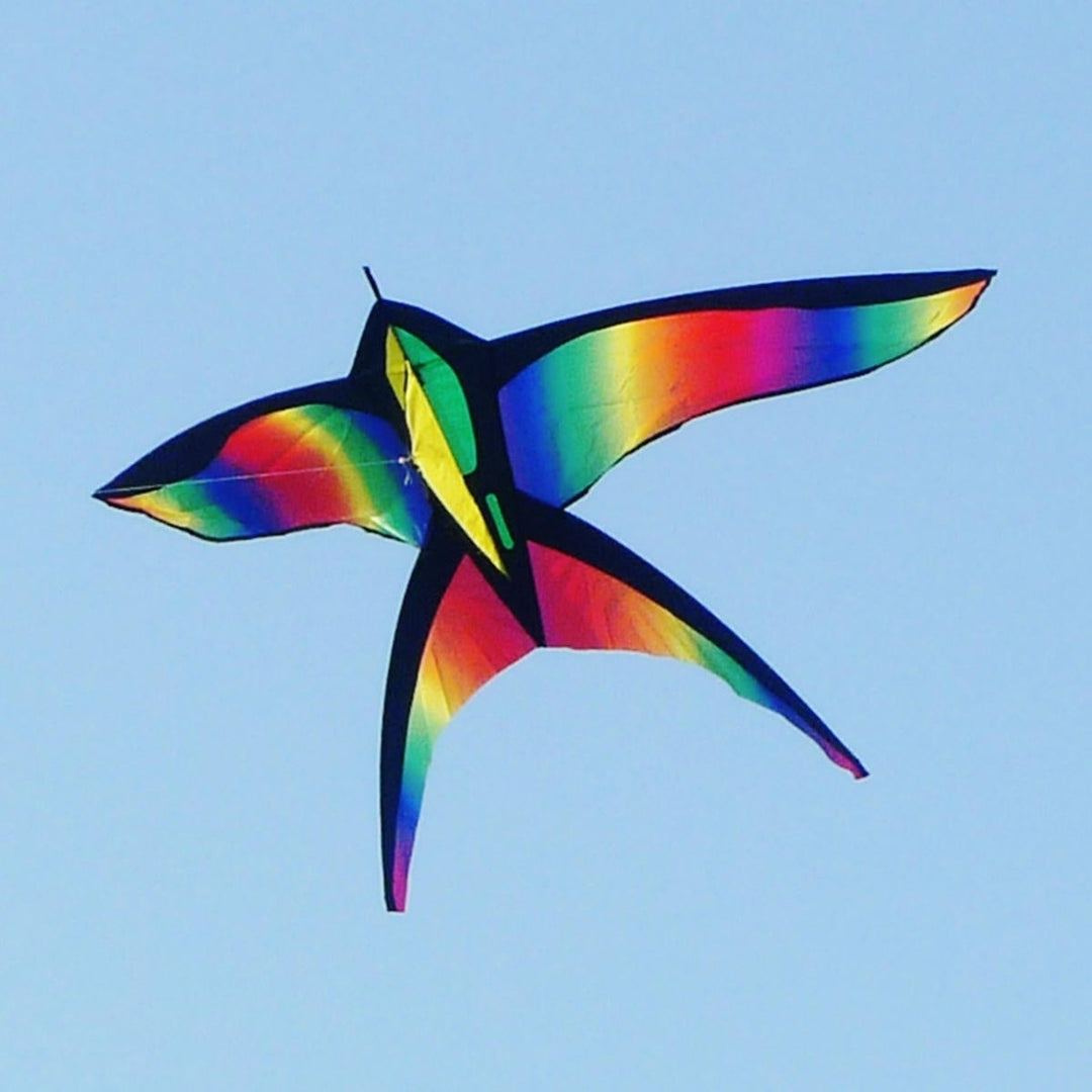 68in Swallow Kite Bird Kites Single Line Outdoor Fun Sports Toys Delta For Kids Image 3