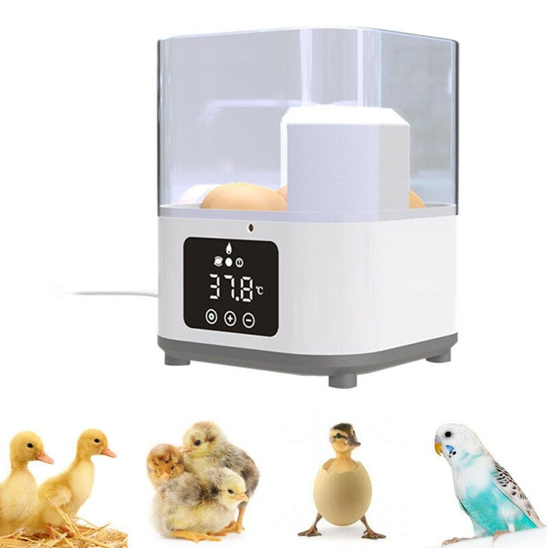 Autoxic Household Egg Incubator Heat-preservation Air Current Circulation ABS/PC Image 6