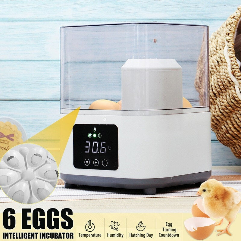 Autoxic Household Egg Incubator Heat-preservation Air Current Circulation ABS/PC Image 7