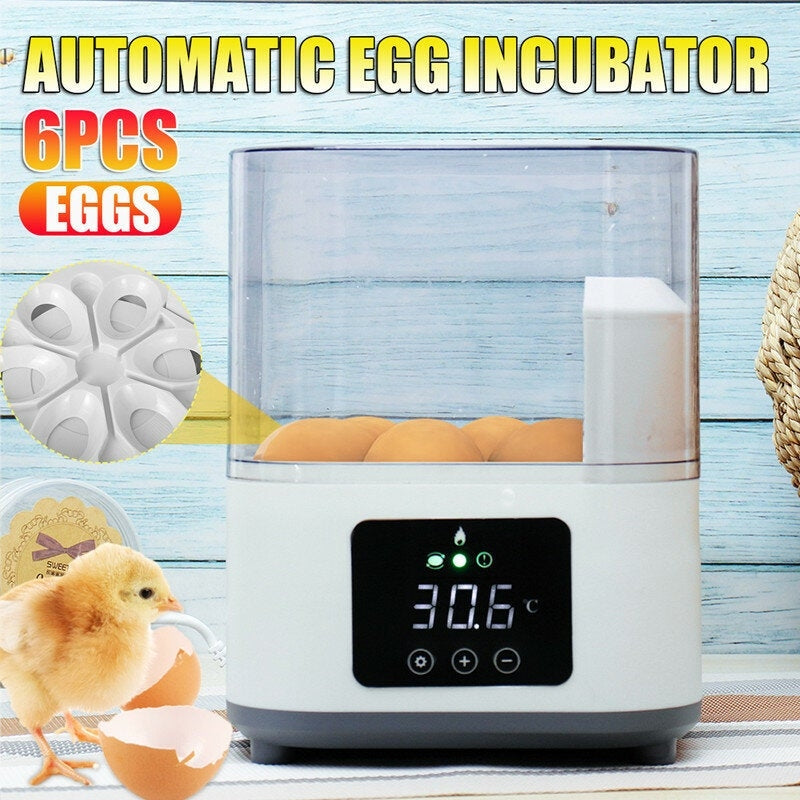Autoxic Household Egg Incubator Heat-preservation Air Current Circulation ABS/PC Image 8