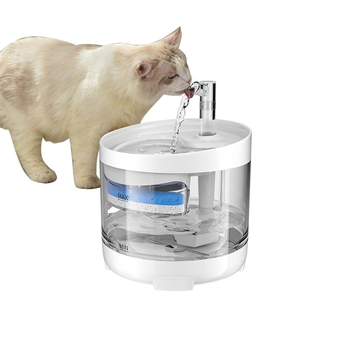 Cat Water Fountain Dog Dispenser 54oz 1.6L Autoxic Pet Drinking Transparent Upgraded Filter Adjustable Silent Pump Image 4