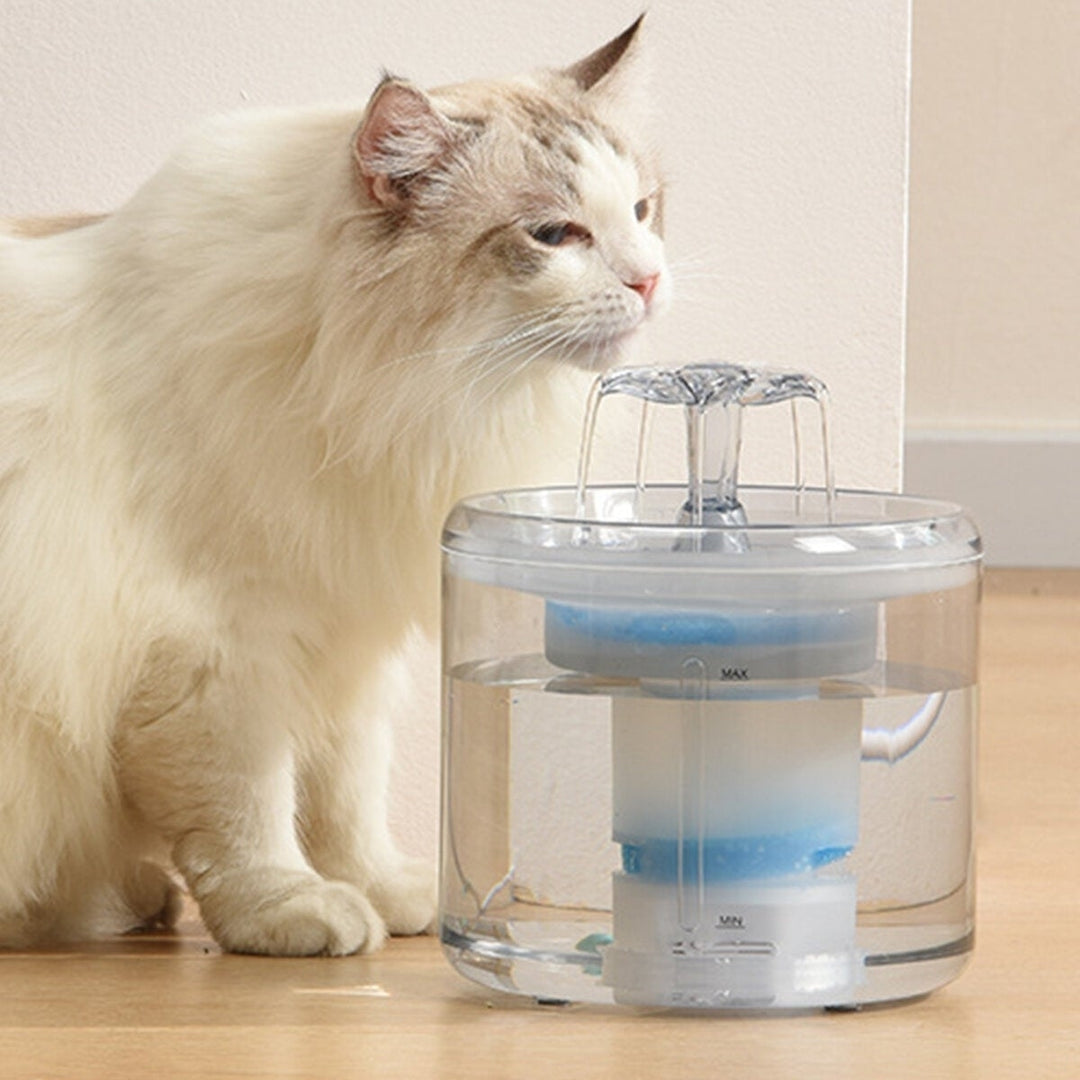 Cat Water Fountain Dog Water Dispenser 88OZ 2.6L Pet Drinking Fountain Transparent Upgraded with Filter and Adjustable Image 6