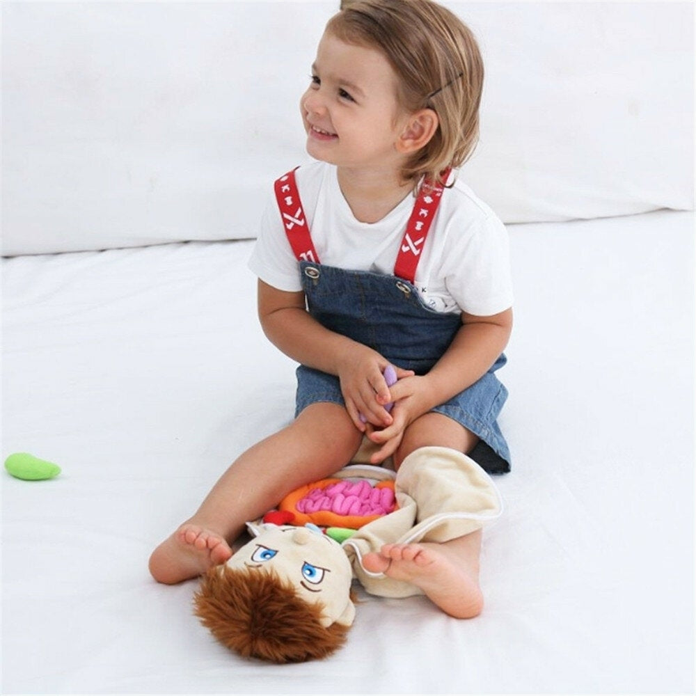 Children Fabric Body Structure Puzzle Doll Boys and Girls Human Organ Structure Cognitive Educational Toys Image 4