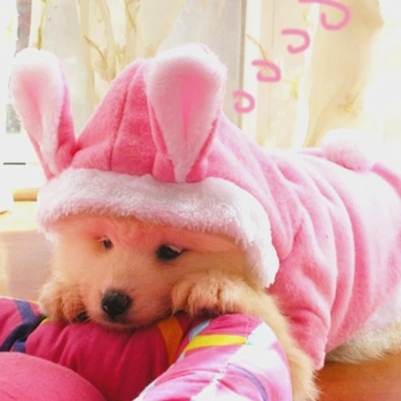 Christmas Pet Clothes Fashion Cute Rabbit Plush Dog Apparel Pet Hoodie Costume Winter Clothing Image 3