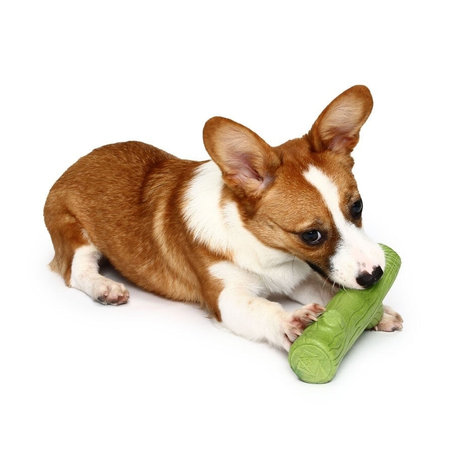 Branch Solid Molar Wearable Pet Toys Training dog Props Enhance the Intelligence Dog Toys Image 1