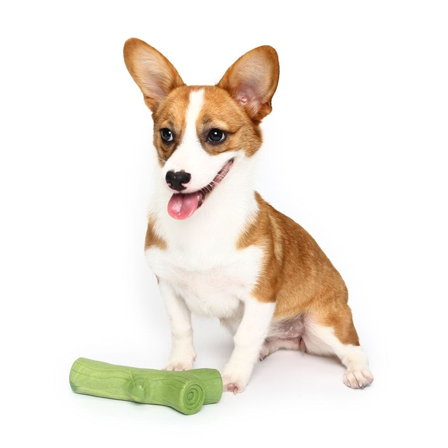 Branch Solid Molar Wearable Pet Toys Training dog Props Enhance the Intelligence Dog Toys Image 2