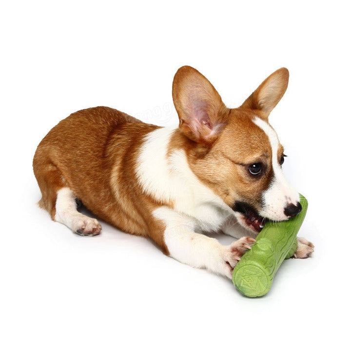 Branch Solid Molar Wearable Pet Toys Training dog Props Enhance the Intelligence Dog Toys Image 3