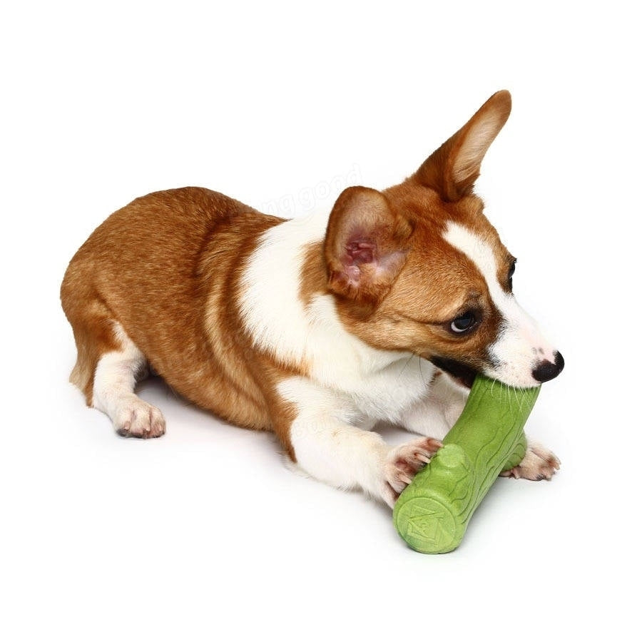 Branch Solid Molar Wearable Pet Toys Training dog Props Enhance the Intelligence Dog Toys Image 4