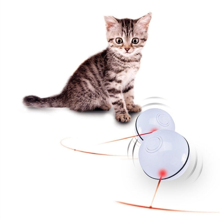 Cat Toy USB Cat Laser Toy Pet Supplies LED Flash Rolling Ball Cat Toy Glowing Ball for Pet Cat Toy Image 1