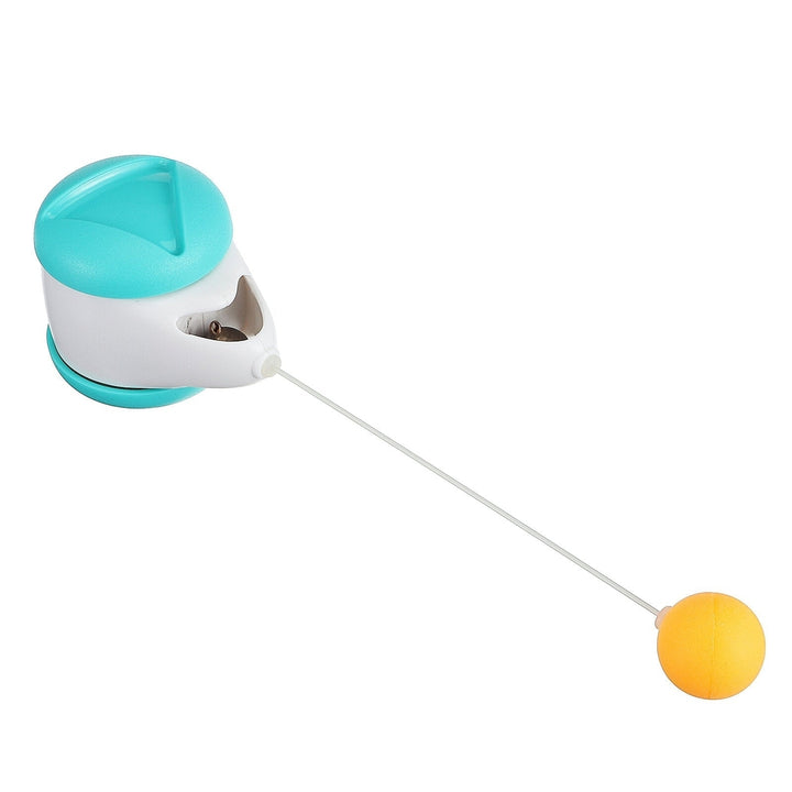 Cat Toy360 Tumbler Self-Spinning Toy with Catnip BallInteresting Interactive Toy for Puppy and Dog Image 3