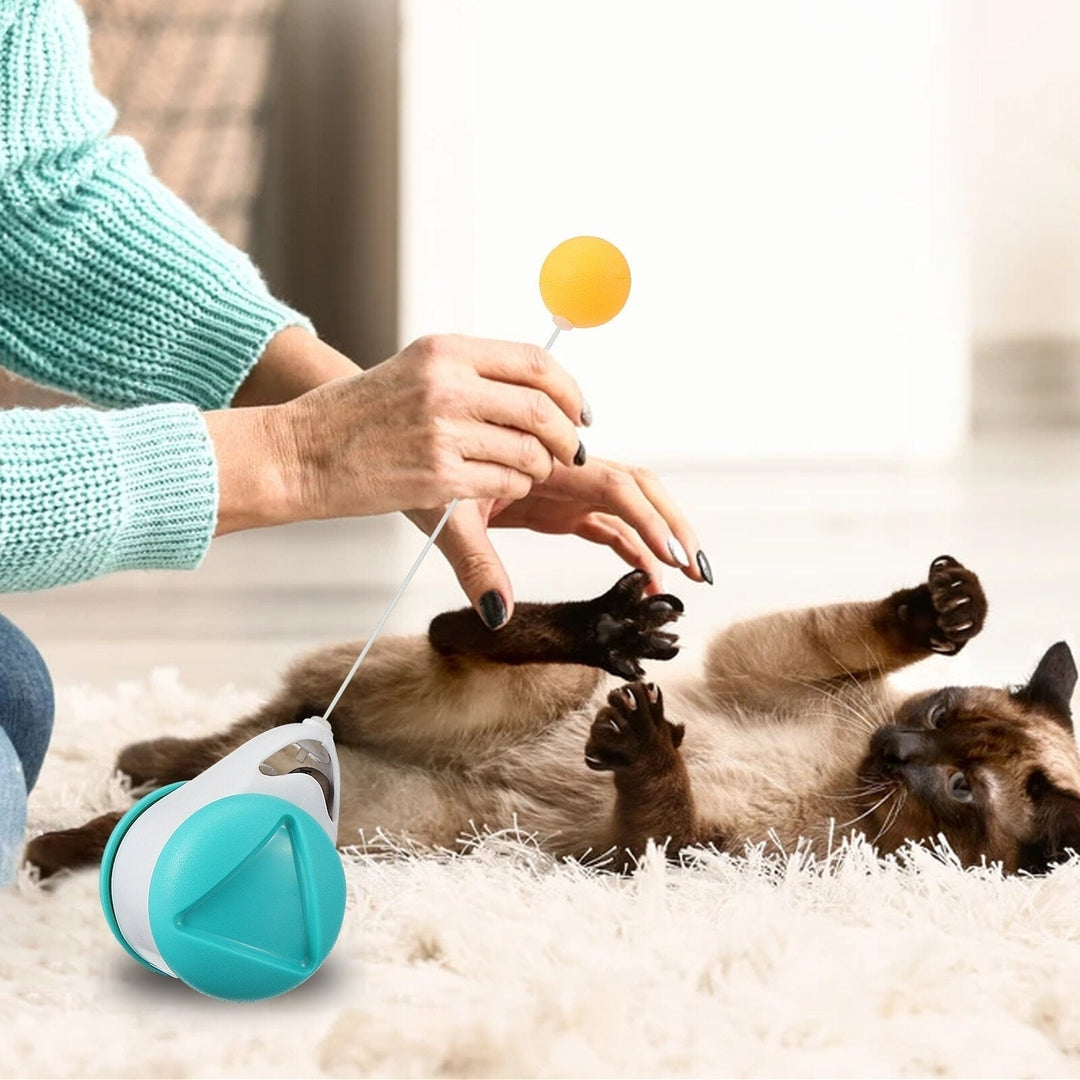 Cat Toy360 Tumbler Self-Spinning Toy with Catnip BallInteresting Interactive Toy for Puppy and Dog Image 8