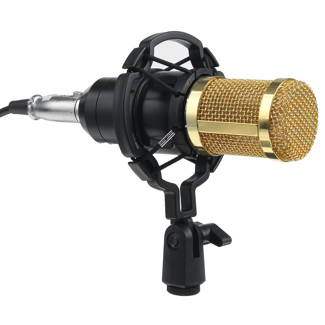 Condenser Microphone Live Studio Vocal Recording Mic Mount Boom Stand Kit Image 4