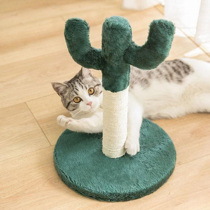 Cute Cactus Pet Cat Tree Toys with Ball Scratcher Posts for Cats Kitten Climbing Tree Cat Toy Protecting Furniture Image 10