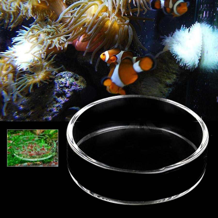Clear Aquarium Fish Tank Glass Shrimp Feeding Food Dish Feeder Tray Fish Feeder Image 1