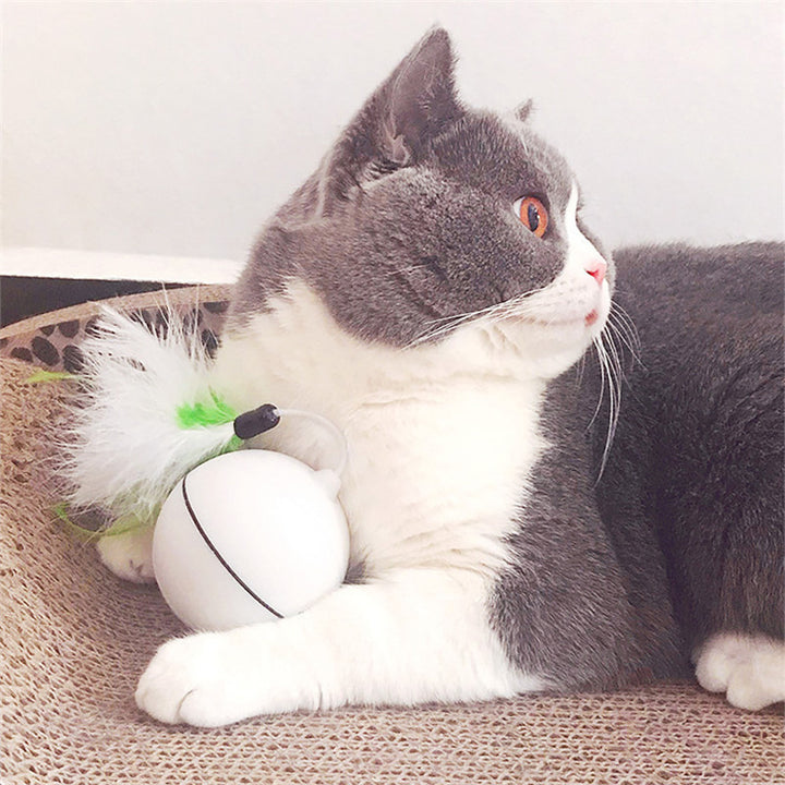 Creative Cat toxic Rolling Ball for Dogs Smart LED Flash Cat toxic Dog Toys Image 2