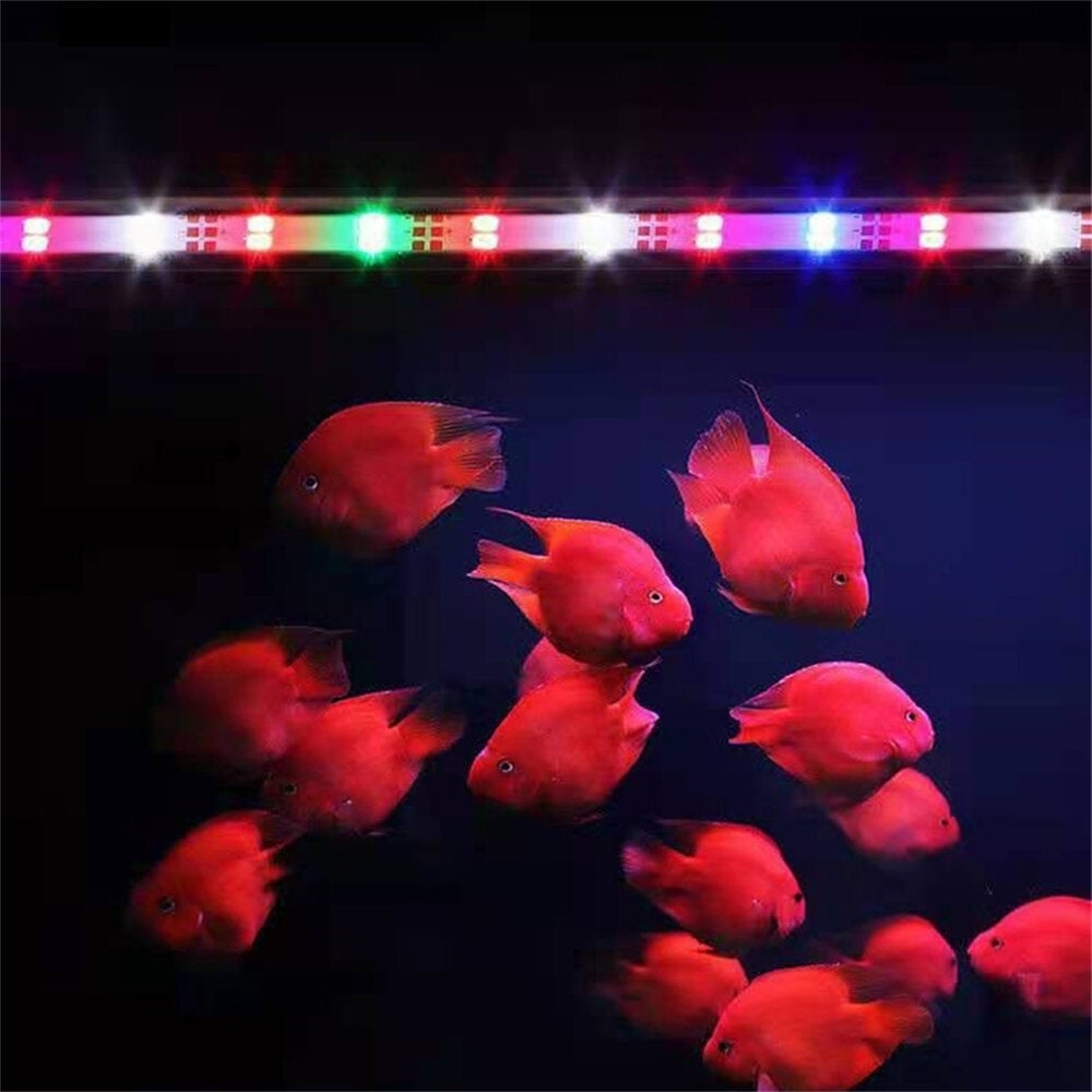 Double Row High-brightness Blue and White Mied Color Brightening Led Fish Tank Light LED High Bright Diving Light Image 3
