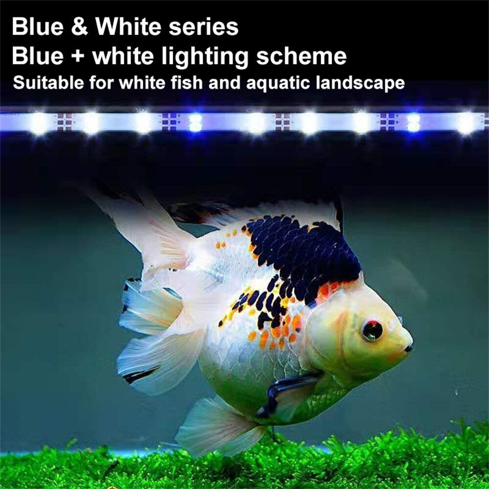 Double Row High-brightness Blue and White Mied Color Brightening Led Fish Tank Light LED High Bright Diving Light Image 4