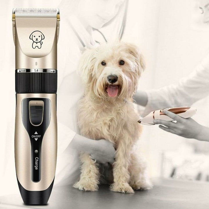 Dog Hair Electric Trimmer With 1 Set Of Clipper Tools USB Charging Pet Grooming Haircut Tool Low-noise Cat Shaver Image 2