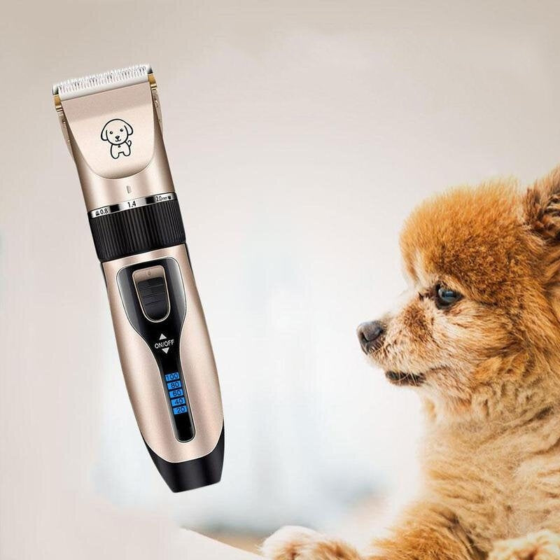 Dog Hair Electric Trimmer With 1 Set Of Clipper Tools USB Charging Pet Grooming Haircut Tool Low-noise Cat Shaver Image 3