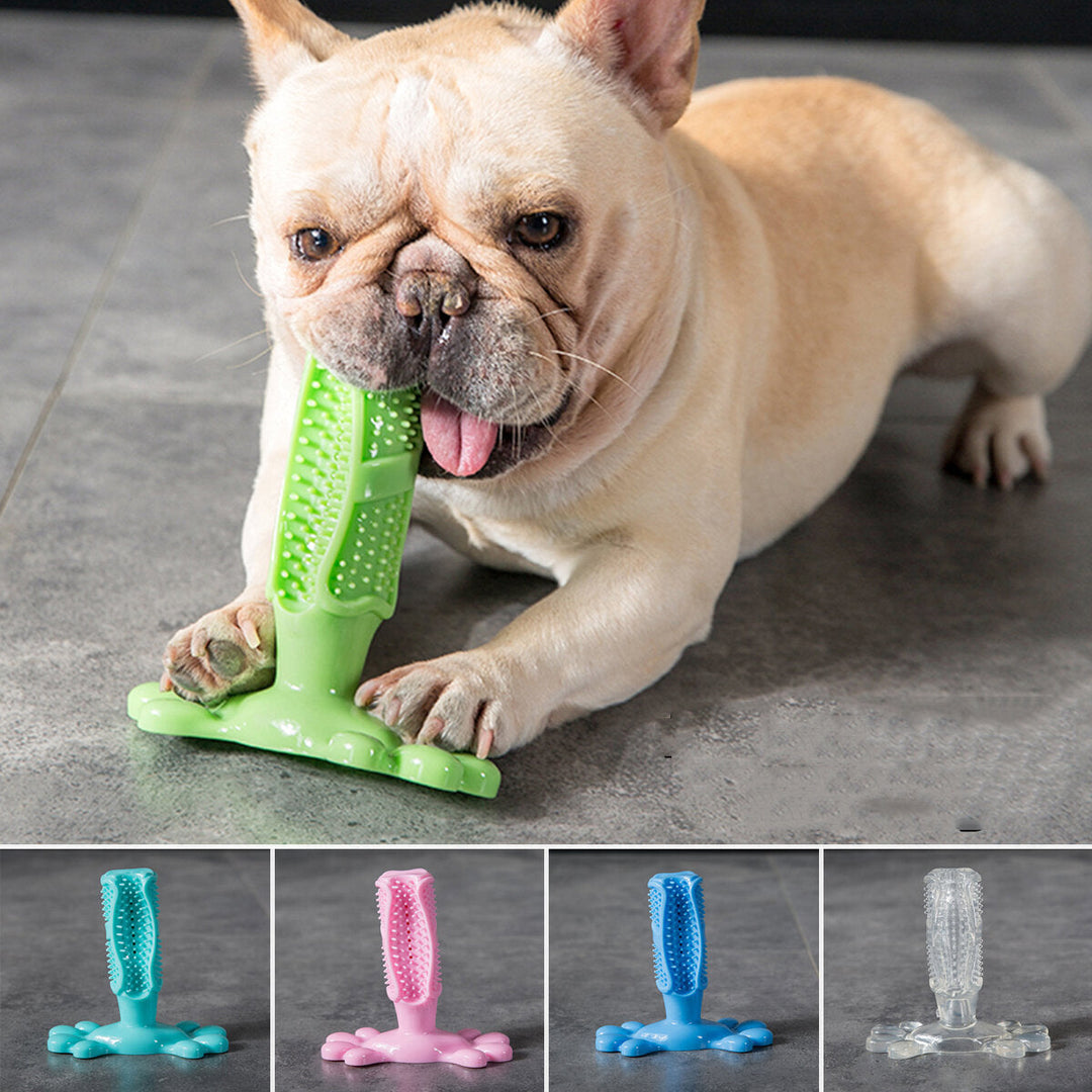 Dog Molar Stick Dog Toothbrush Dog Chew Tooth Cleaner Brushing Stick Natural Rubber Doggy Dog Chew Toys Toothbrush Image 3