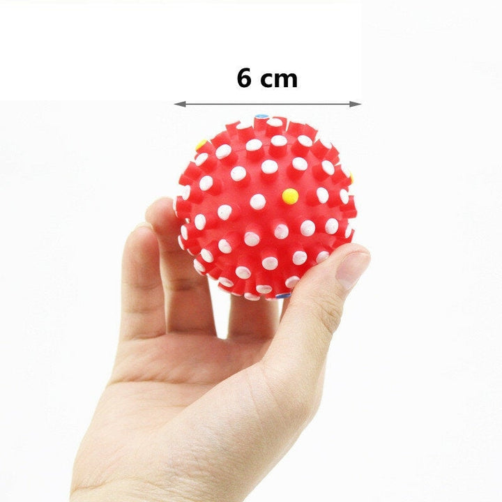 Environmental PVC Pet Toy Ball Random Colors Internal Sound Air Bag Help Grind Teeth Promote Relationship with Pets Image 3