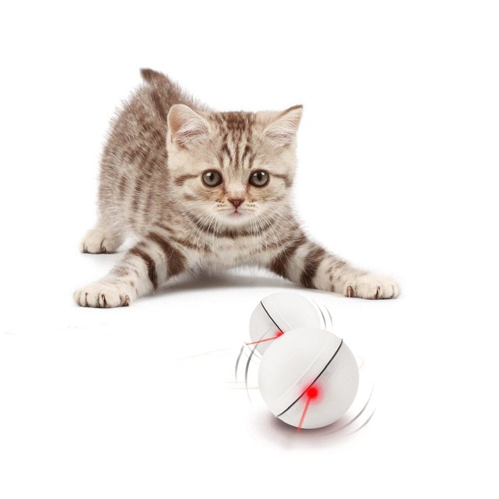 Electronic 360 Degree Self Rotating Ball Autoxic Rolling Ball LED Light Pet Cat Pet Toys Image 1