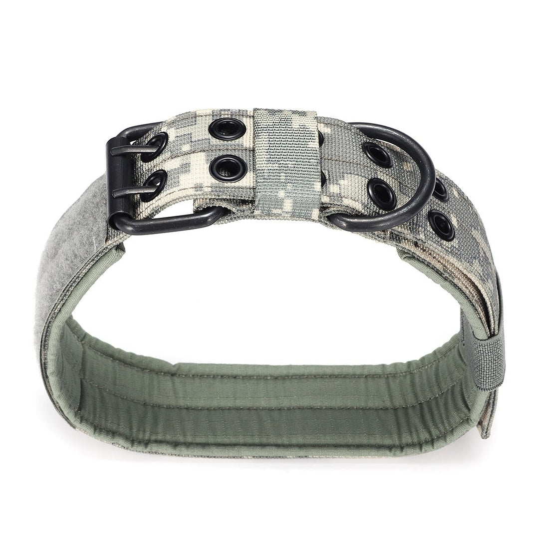 M Tactical Military Adjustable Dog Training Collar Nylon Leash w,Metal Buckle Image 11