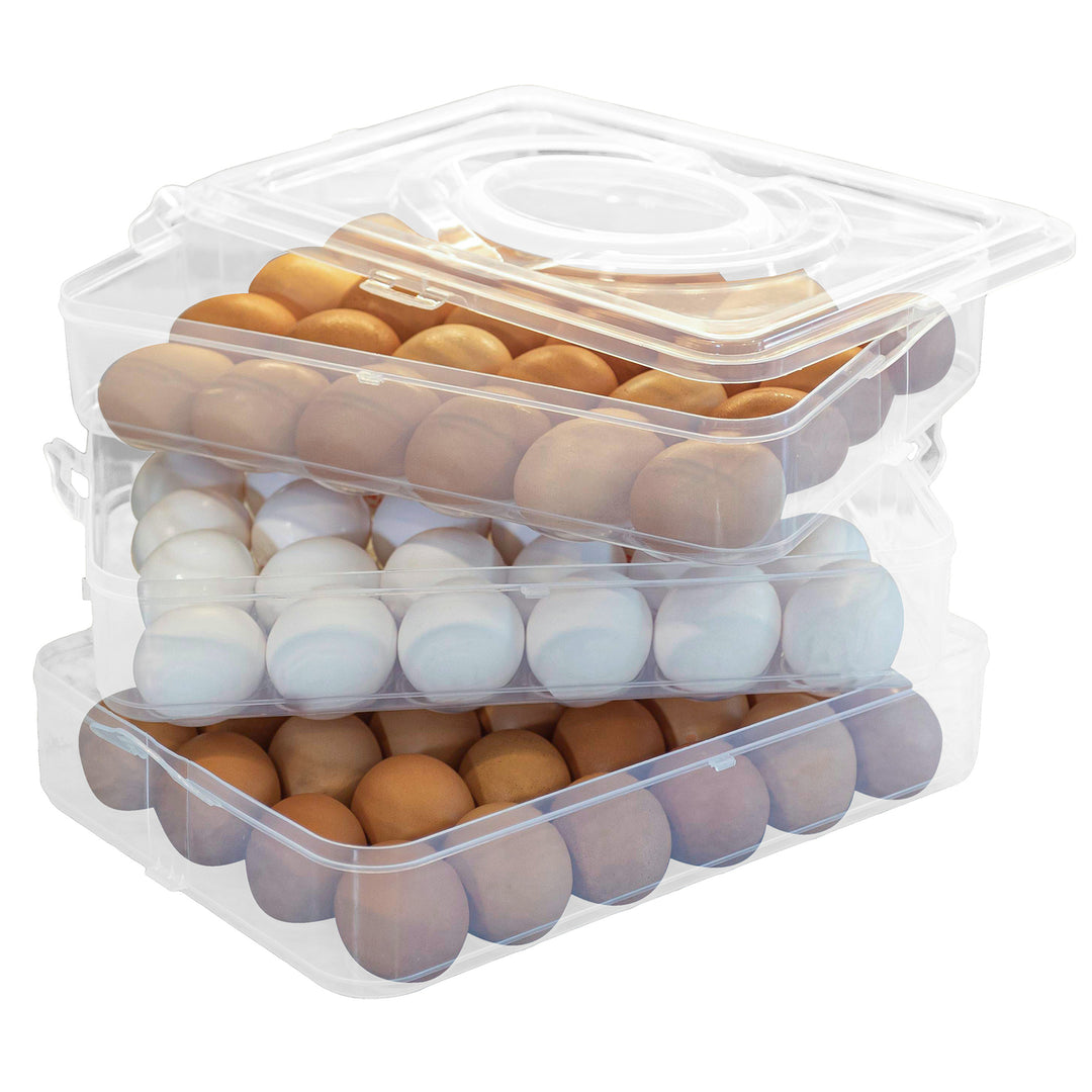 Large Capacity Egg Container Clear PP Plastic Refrigerator Holder with Lid and Handle Image 1