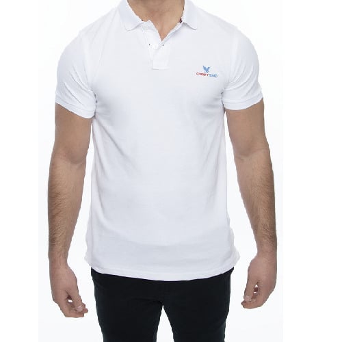 Mens Classic Fit Polo Shirt 100% Cotton Short Sleeve Sizes S-XXL Casual Wear Image 1