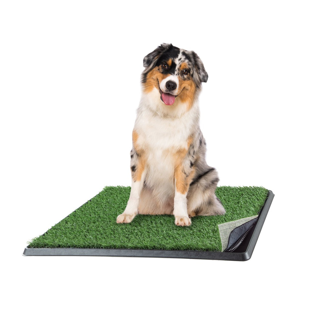 Artificial Grass Dog Pee Pad with Tray 20x25 Washable Indoor Potty Pad Green Image 1