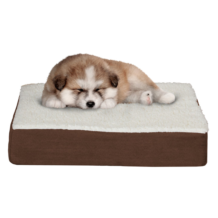 Orthopedic Dog Bed Memory Foam Cozy Sherpa 20 x 15 x 4 Washable Cover Image 2
