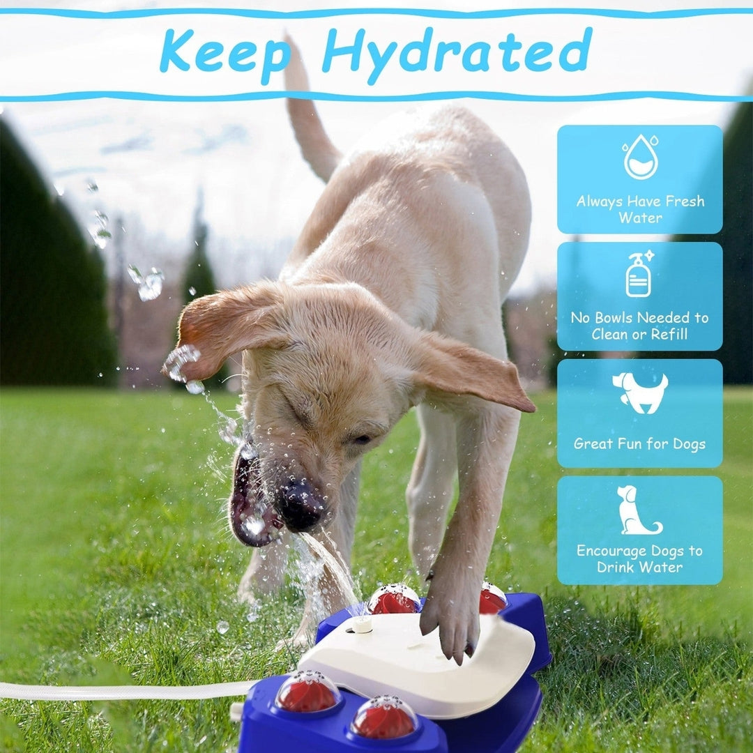 Dog Water Fountain Multifunctional Automatic Pet Water Dispenser Outdoor Step-on Activated Sprinkler for Drinking Shower Image 7