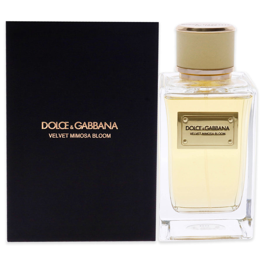 Dolce and Gabbana Velvet Mimosa Bloom EDP Spray 5 oz Image 1