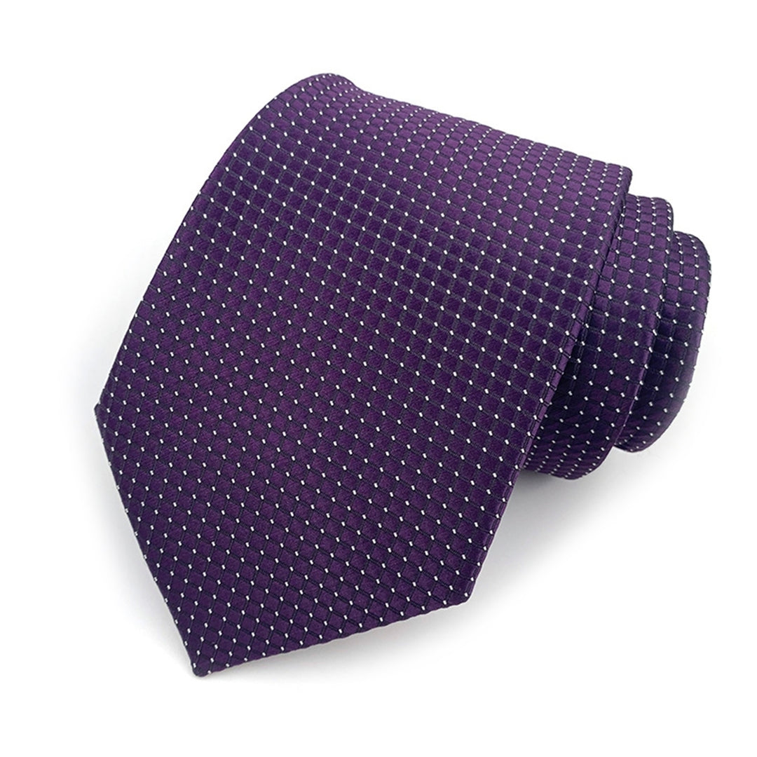 Men Tie Exquisite All Match Accessory Gentleman Plaid Business Tie for Banquet Image 4